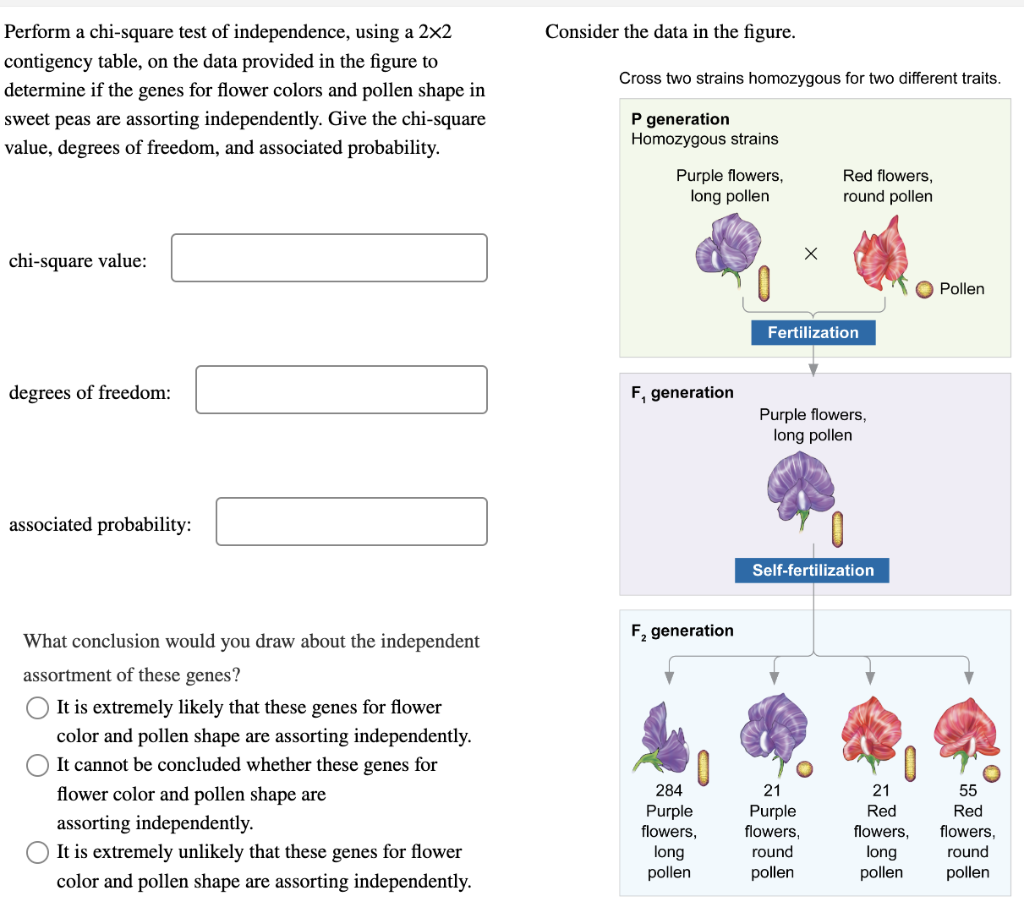 Perform a chi-square test of independence, using a \( 2 \times 2 \)
Consider the data in the figure. contigency table, on the