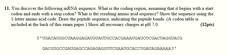 Solved 11. You discover the following mRNA sequence. What is | Chegg.com