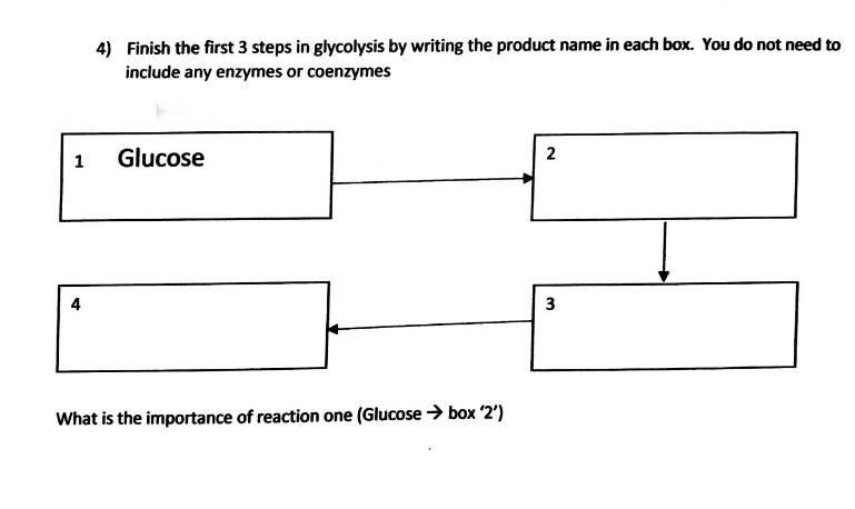 Solved 4) Finish the first 3 steps in glycolysis by writing | Chegg.com