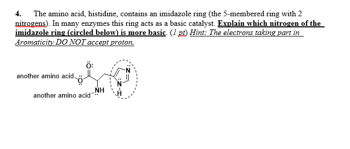 4. The amino acid, histidine, contains an imidazole ring (the 5-membered ring with 2 nitrogens). In many enzymes this ring ac