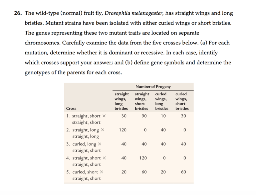 Solved 6. The wild-type (normal) fruit fly, Drosophila | Chegg.com