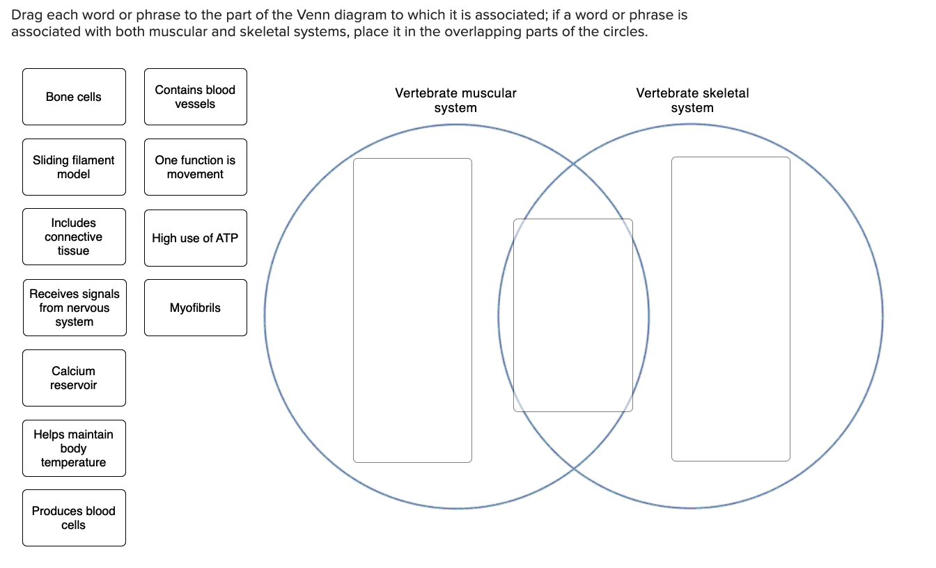 Quad Venn diagram for synonyms: All the synonyms from all concepts from