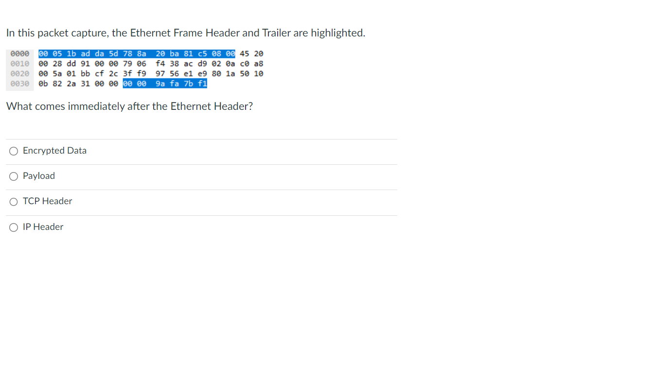 In this packet capture, the Ethernet Frame Header and Trailer are highlighted.
What comes immediately after the Ethernet Head