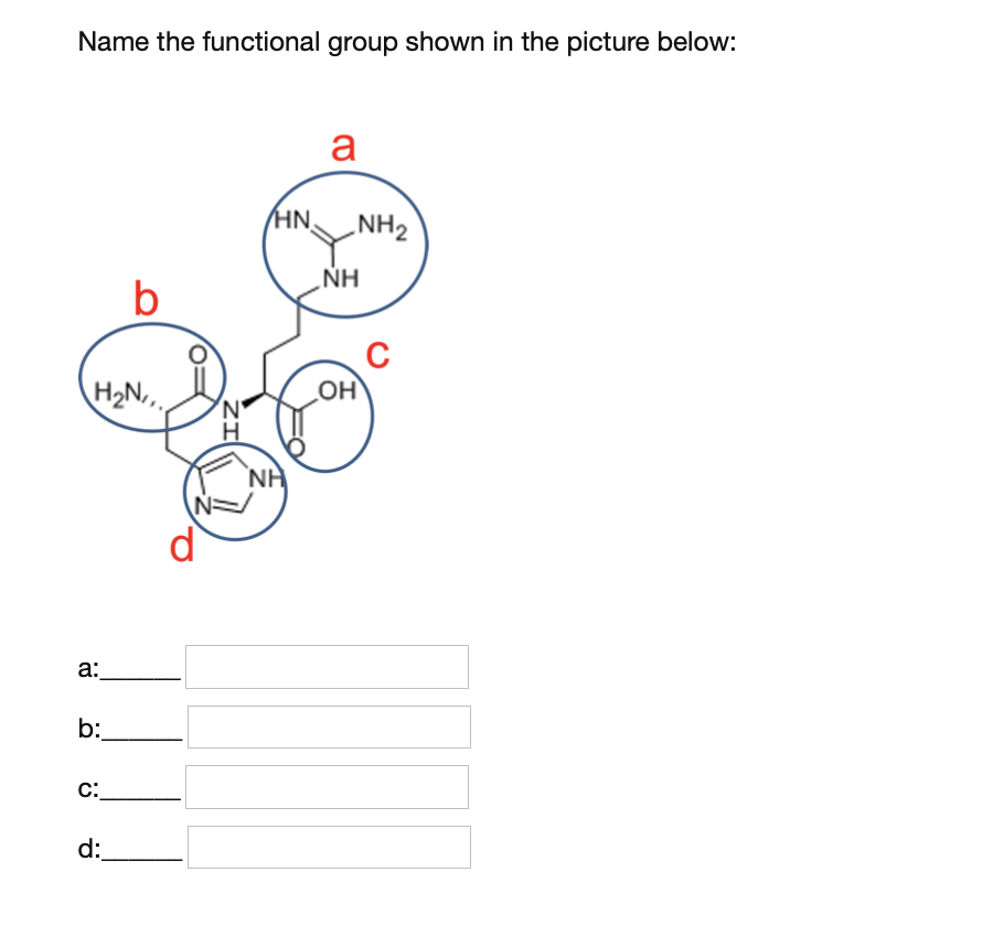 Solved Name the functional group shown in the picture below: | Chegg.com