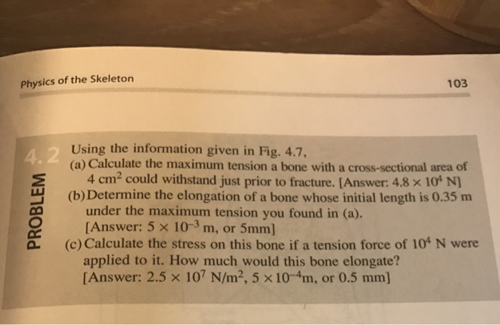 Physics of the Skeleton 103 Using the information | Chegg.com