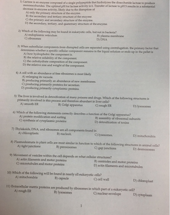Solved Lactase is enzyme composed of a polypeptide