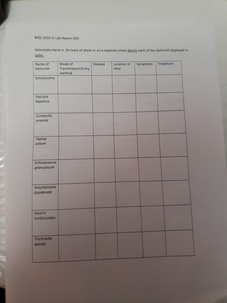 Solved BIOL 2310 In Lab Report #20 Helminths Hand in. On | Chegg.com