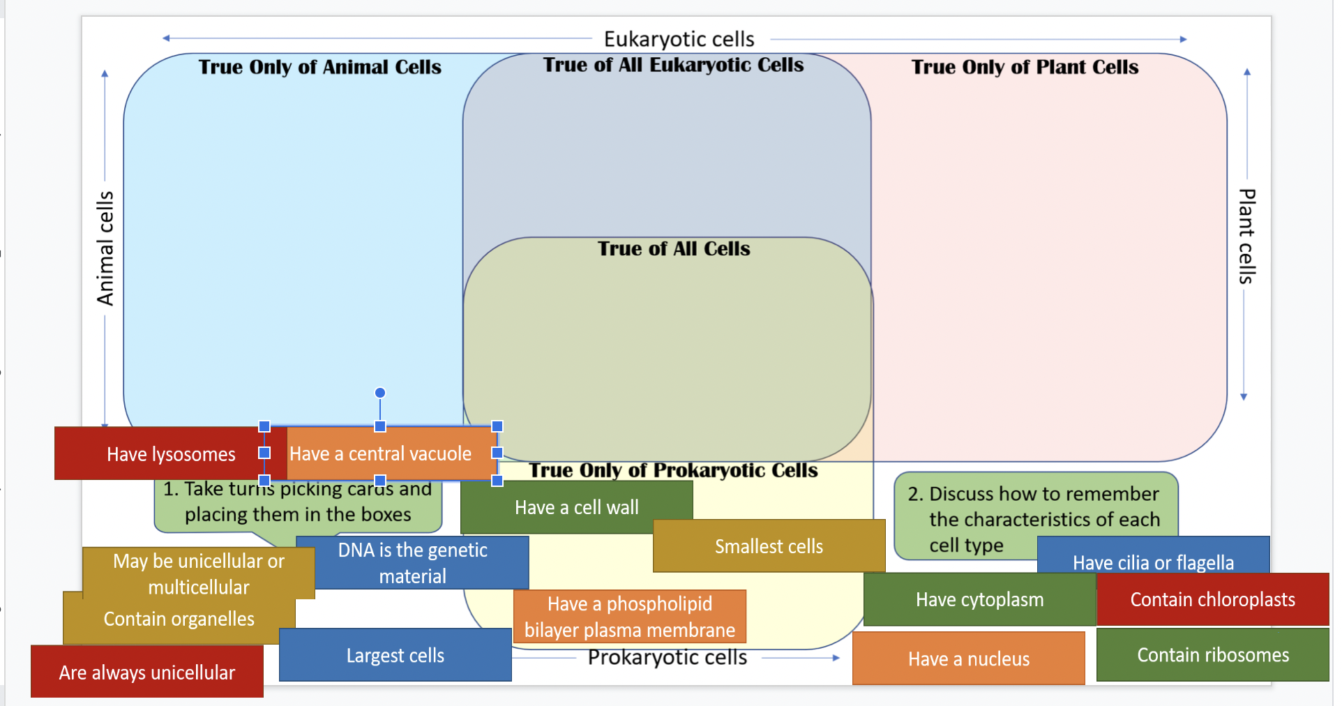 which of the following is true of all eukaryotic cells