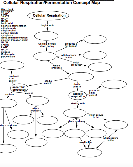 Cell Respiration Concept Map Solved 36 Atp Cellular Respiration/Fermentation Concept Map | Chegg.com