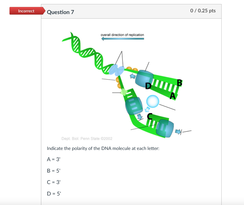 Solved Incorrect Question 7 0/0.25 pts overall direction of | Chegg.com