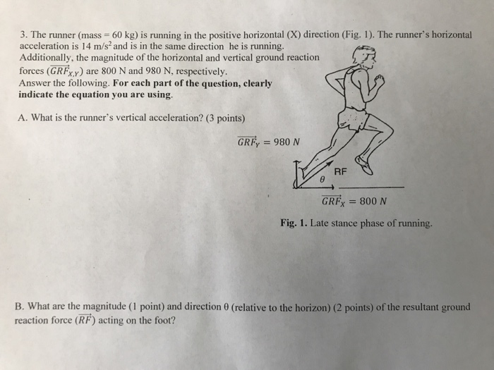 Solved The runner (mass = 60 kg) is running in the positive