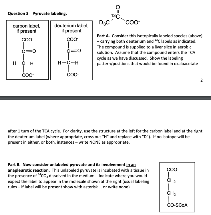 O II 요 Question 3 Pyruvate labeling. 13C D3C COO- | Chegg.com