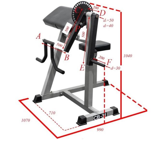 You are asked to study and analyze the body-building | Chegg.com