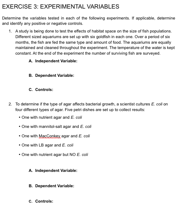 exercise 3 experimental variables