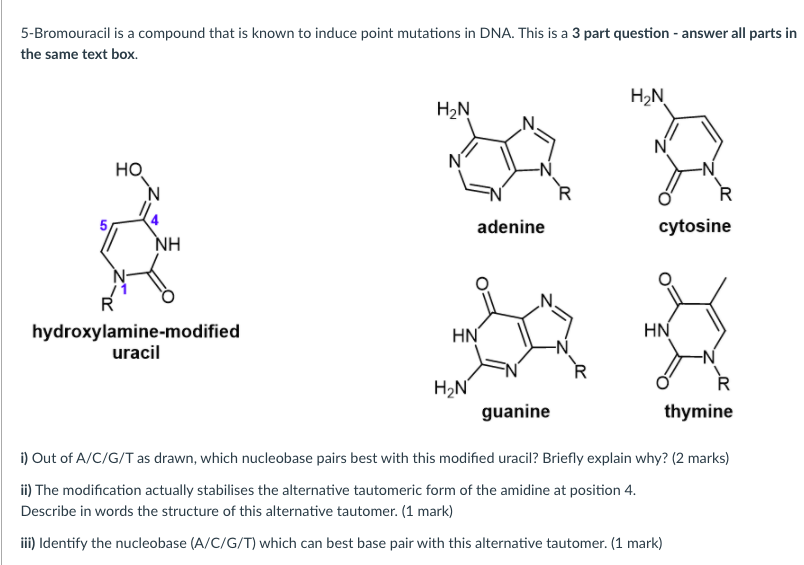 Solved 5Bromouracil is a compound that is known to induce