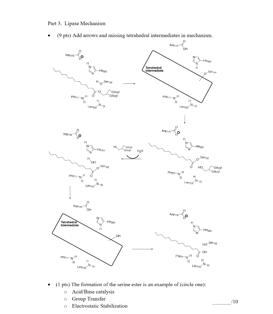 Solved Part 3. Lipase Mechanism (9 pts) Add arrows and
