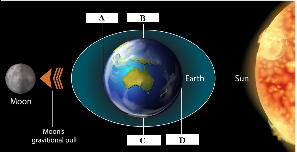 solved-looking-at-this-diagram-of-how-the-earth-chegg