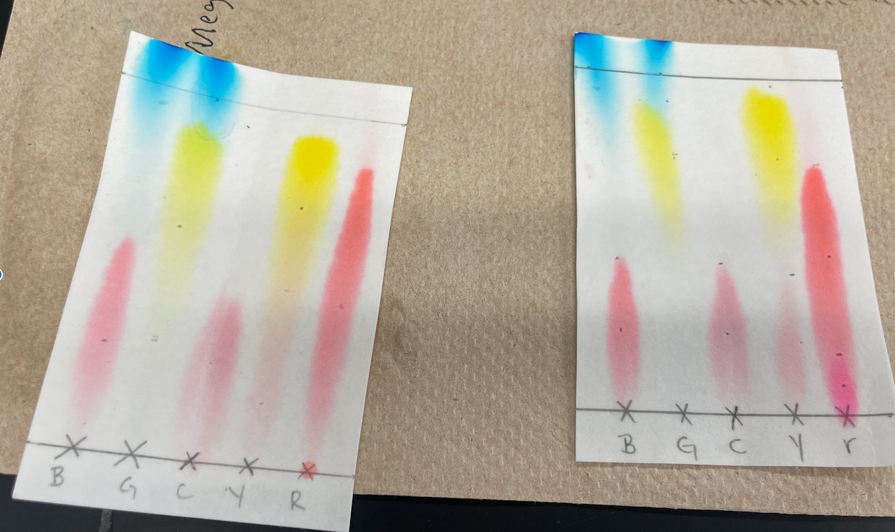 Solved If you let the experiment run for less time, removing