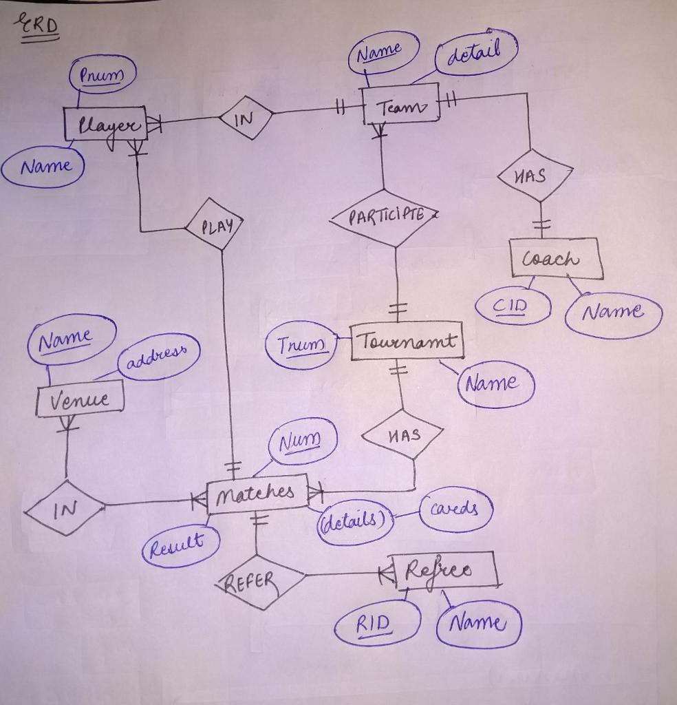 Solved Export the DDL script, corresponding to the | Chegg.com