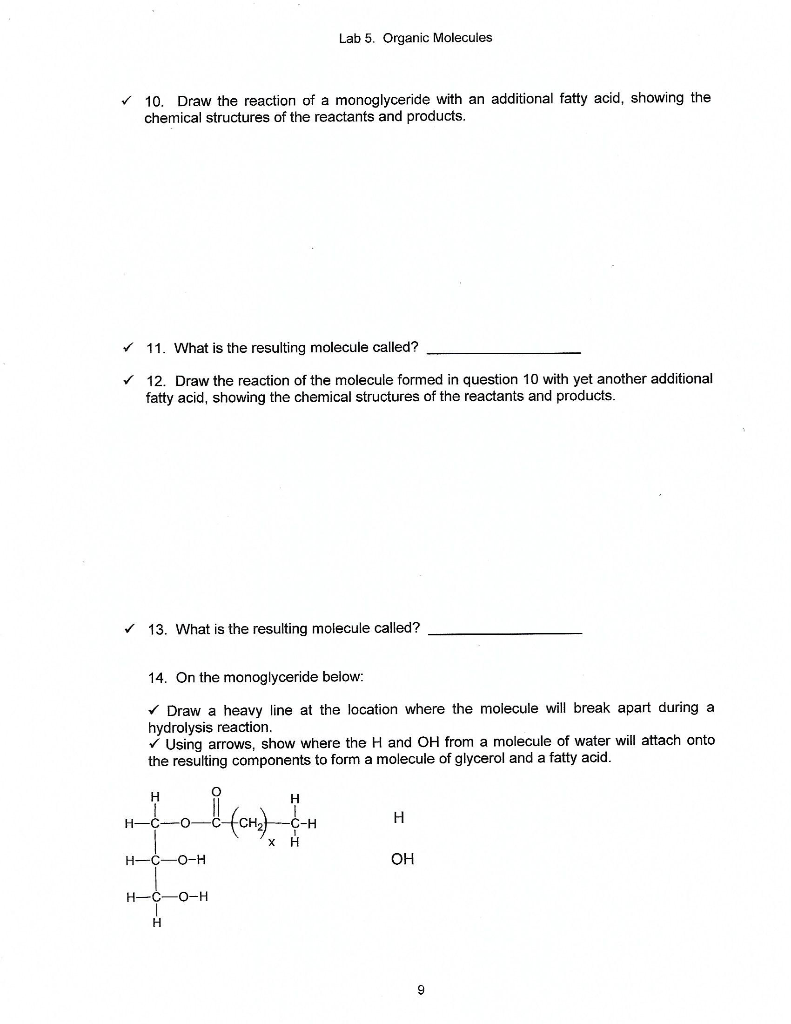 Solved Lab 5 Organic Molecules Lipids The Structural Chegg Com