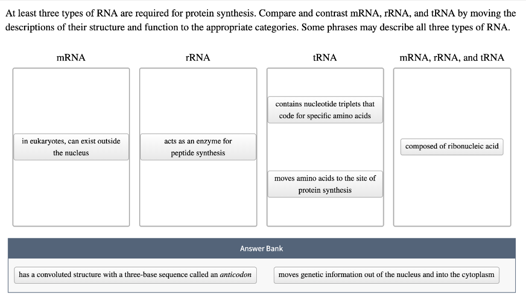 Solved At Least Three Types Of RNA Are Required For Prote