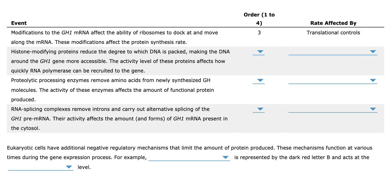 Solved 4. Levels of eukaryotic gene regulation In humans, | Chegg.com