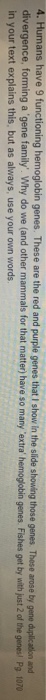 solved-humans-have-9-functioning-hemoglobin-genes-are-the-chegg