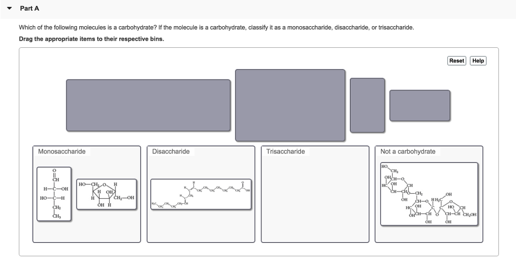 which of the following is a carbohydrate molecule