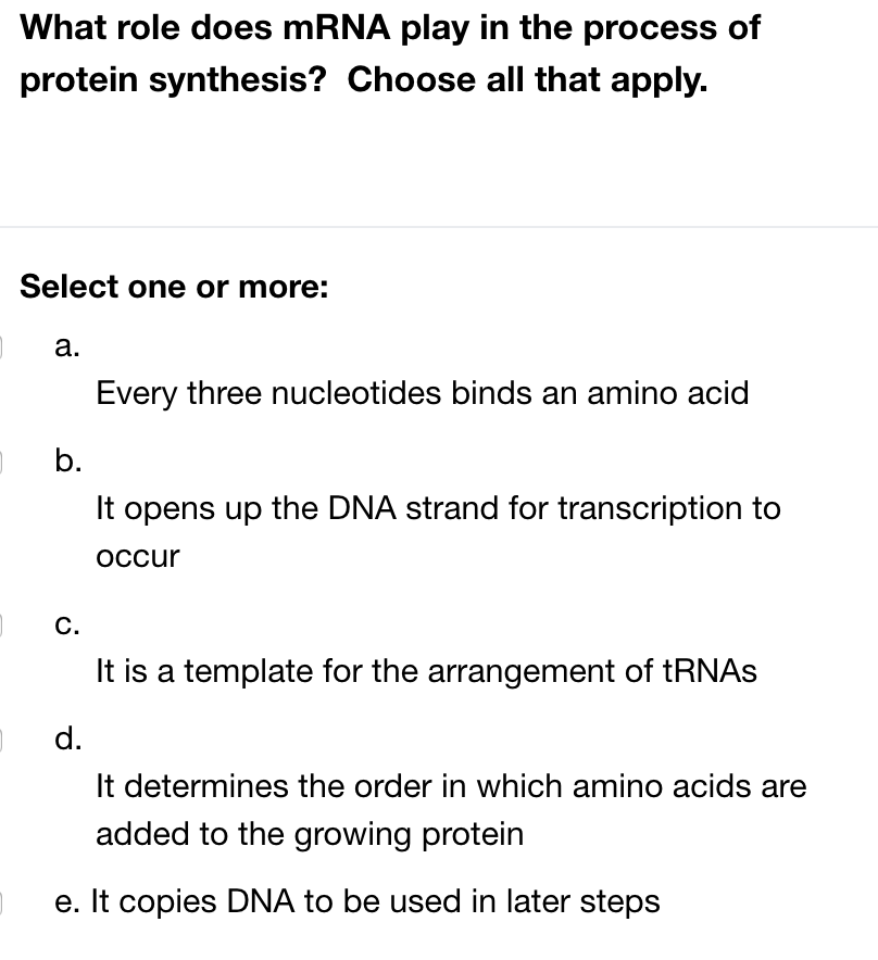 Solved What Role Does MRNA Play In The Process Of Protein | Chegg.com