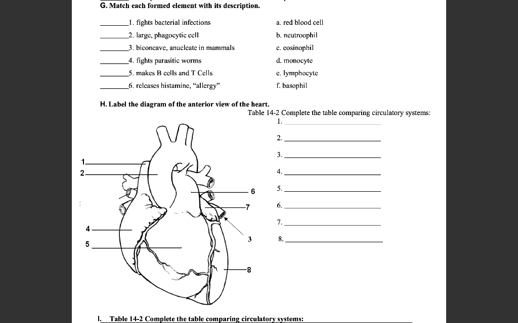 Solved G. Match each formed element with its description. 1. | Chegg.com