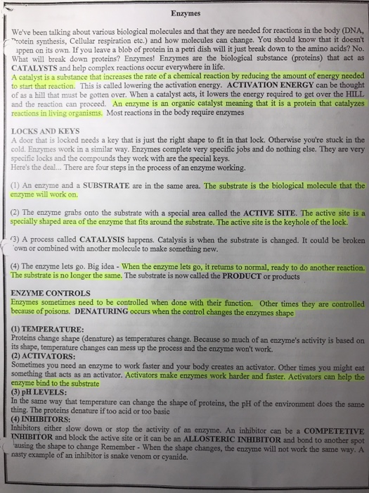 How Enzymes Work Worksheet Answers