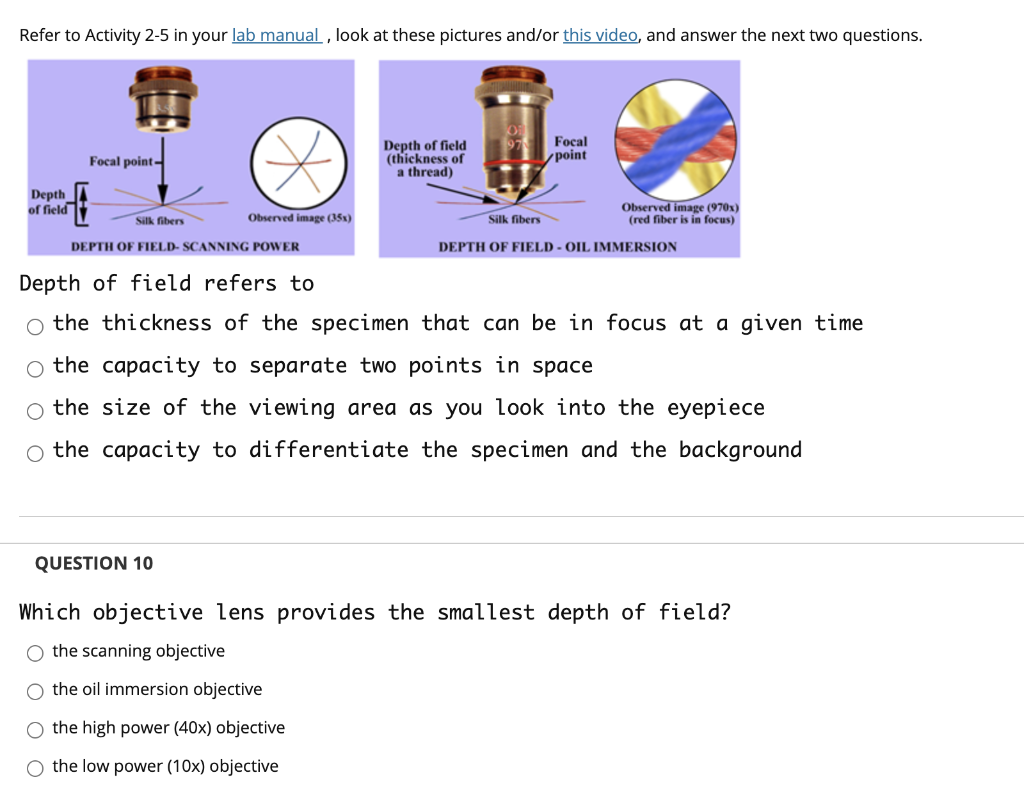 solved-activity-2-4-magnification-referring-to-information-chegg