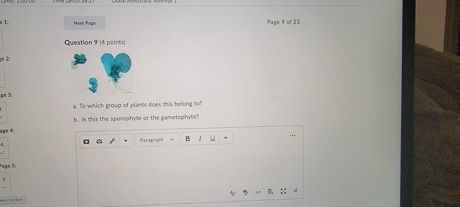 Solved Next Page Page 8 of 25 Question 8 (4 points) a. What | Chegg.com