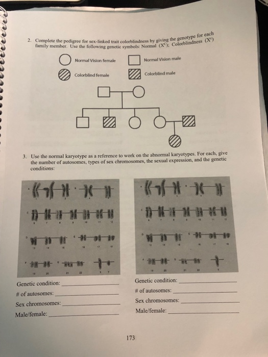 Solved Date: 16. Non-Mende Lian Genetics & Human Heredity A. | Chegg.com