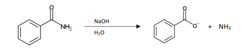 Solved NaOH olim NH2 + NH3 H20 | Chegg.com