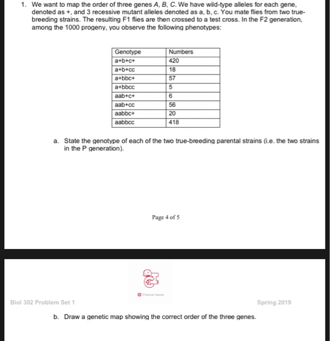 Solved We Want To Map The Order Of Three Genes A, B, C. We | Chegg.com