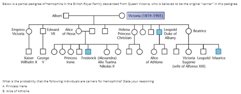 Solved Below is a partial pedigree of hemophilia in the | Chegg.com