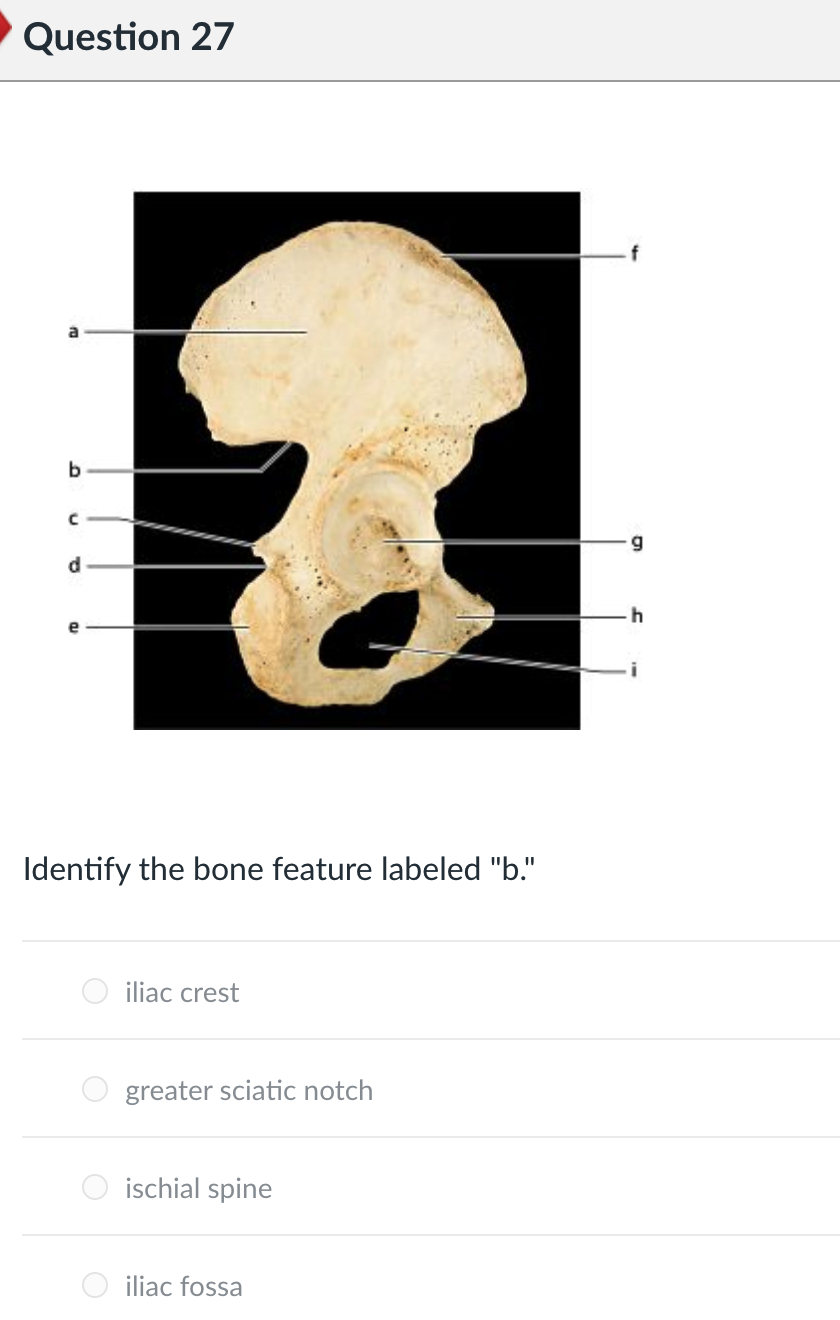 Solved: Incorrect Question 73 А B Figure 5.5 Use Figure 5.... | Chegg.com