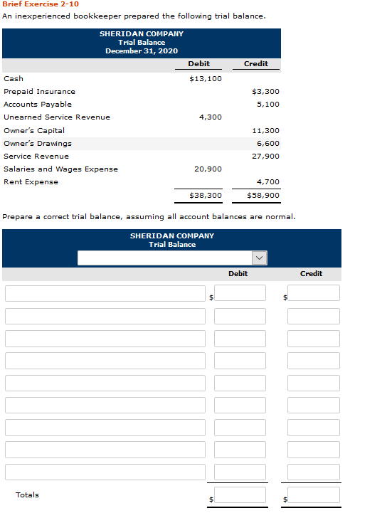 Solved Brief Exercise 2-10 An inexperienced bookkeeper | Chegg.com