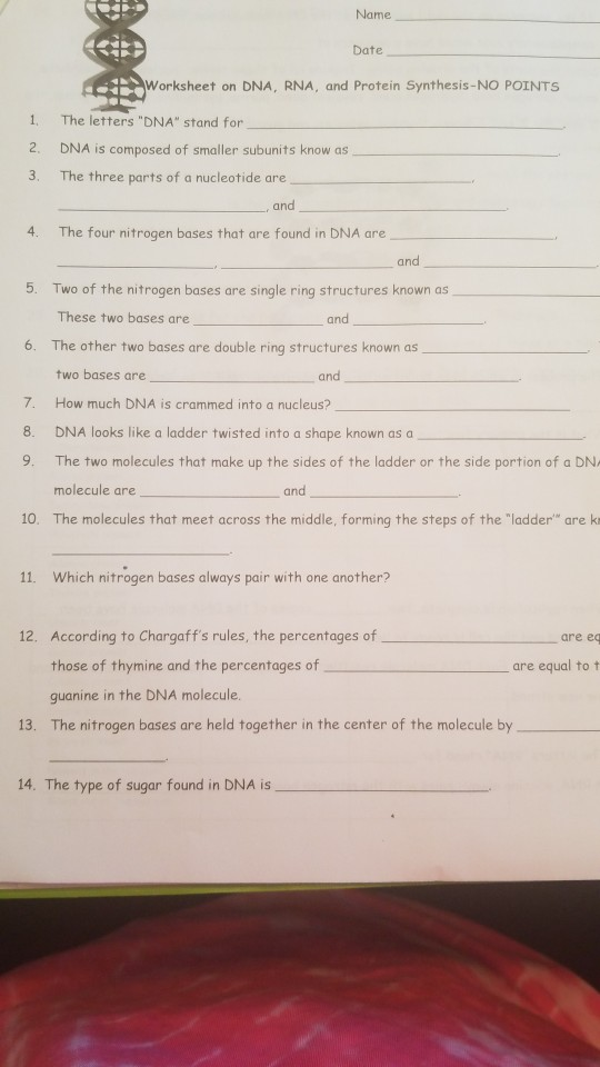 Solved Name Date Worksheet on DNA, RNA, and Protein | Chegg.com