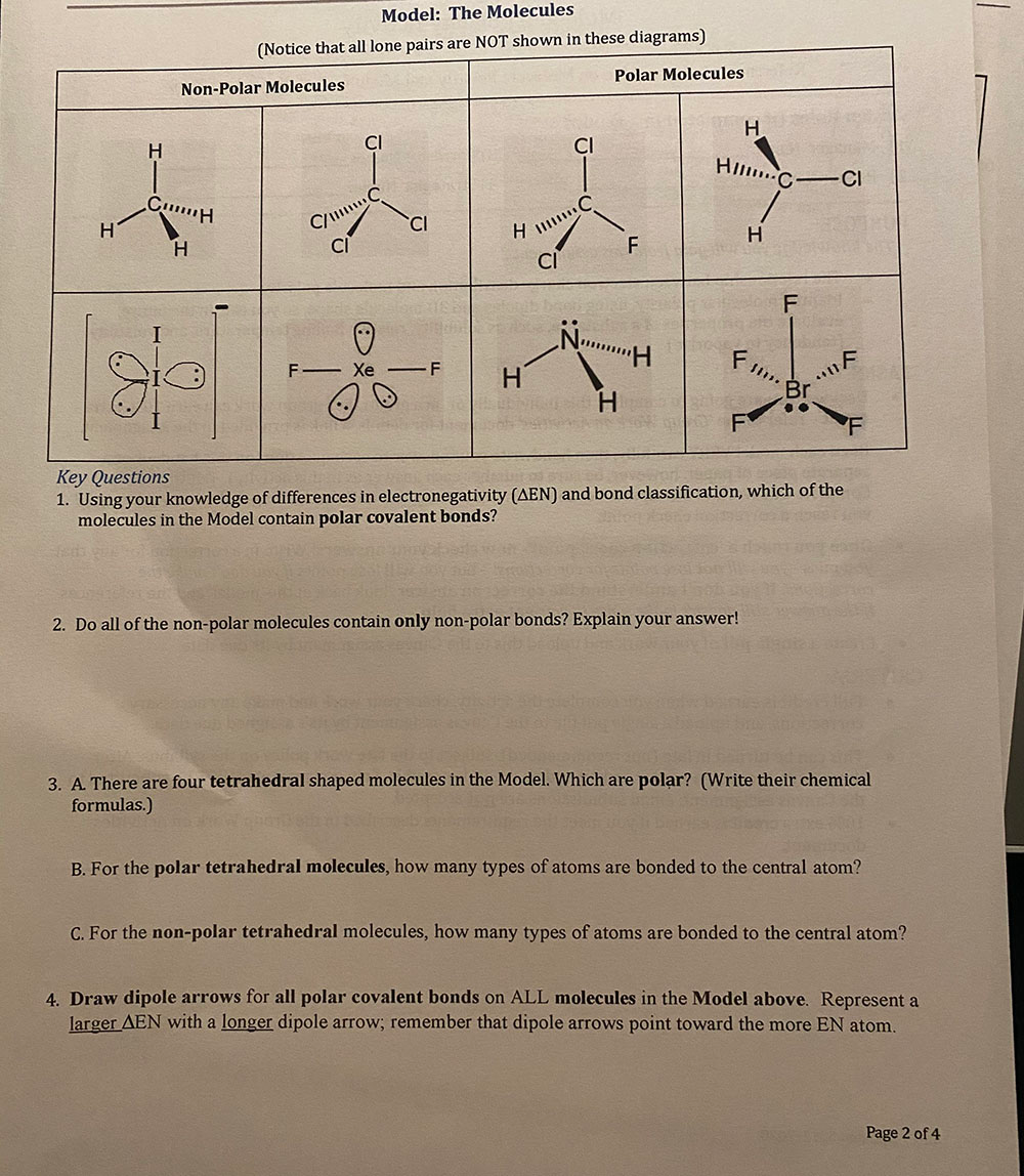 Solved Model: The Molecules (Notice that all lone pairs are | Chegg.com