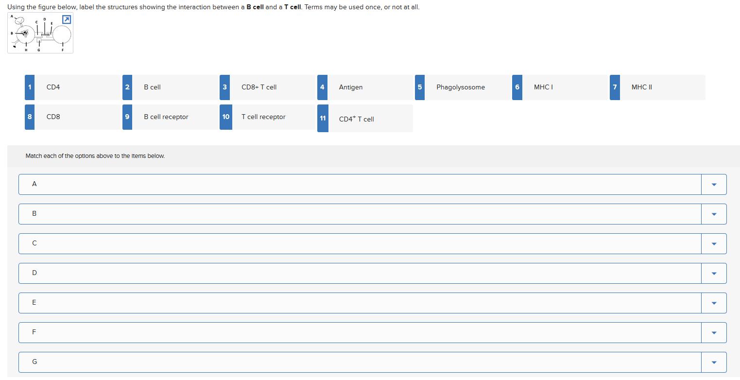 Solved THIS QUESTION IS ALREADY SOLVED IN CHEGG BUT IS NOT | Chegg.com