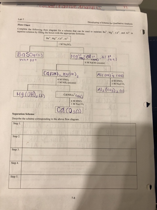 qualitative-analysis-lab-laboratory-19-0-qualitative-analysis-2019