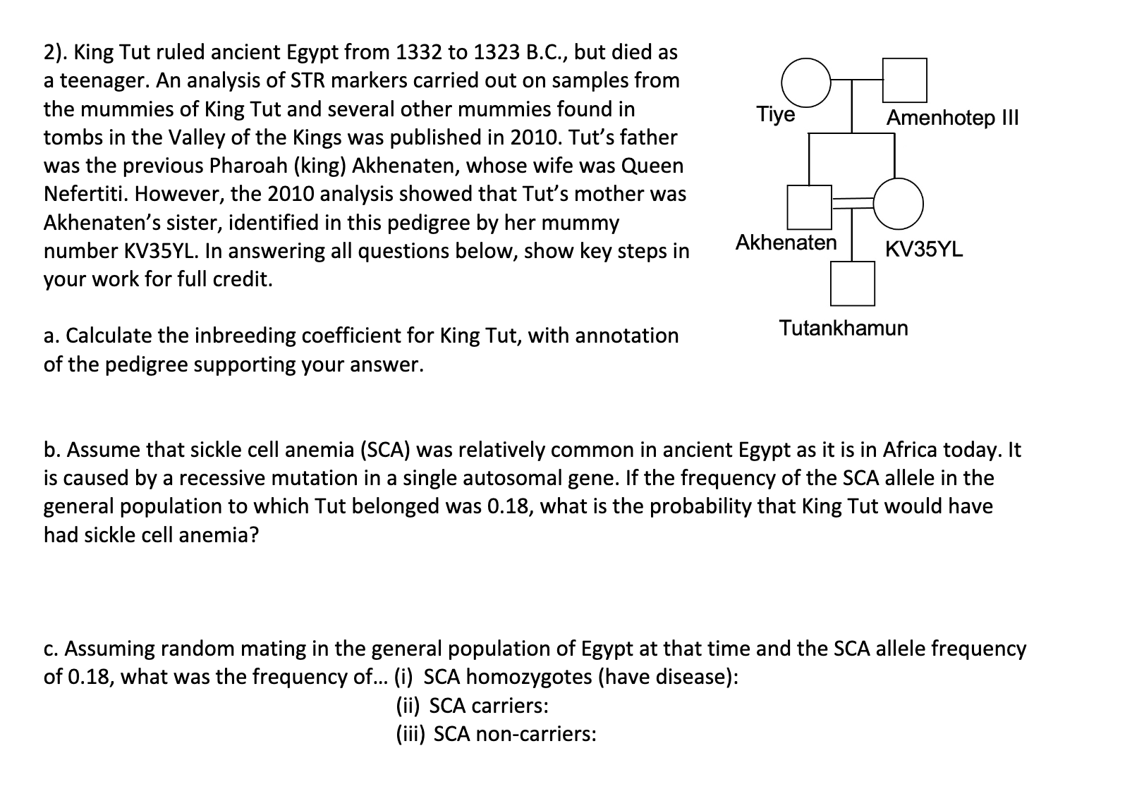 Solved 2). King Tut ruled ancient Egypt from 1332 to 1323 | Chegg.com