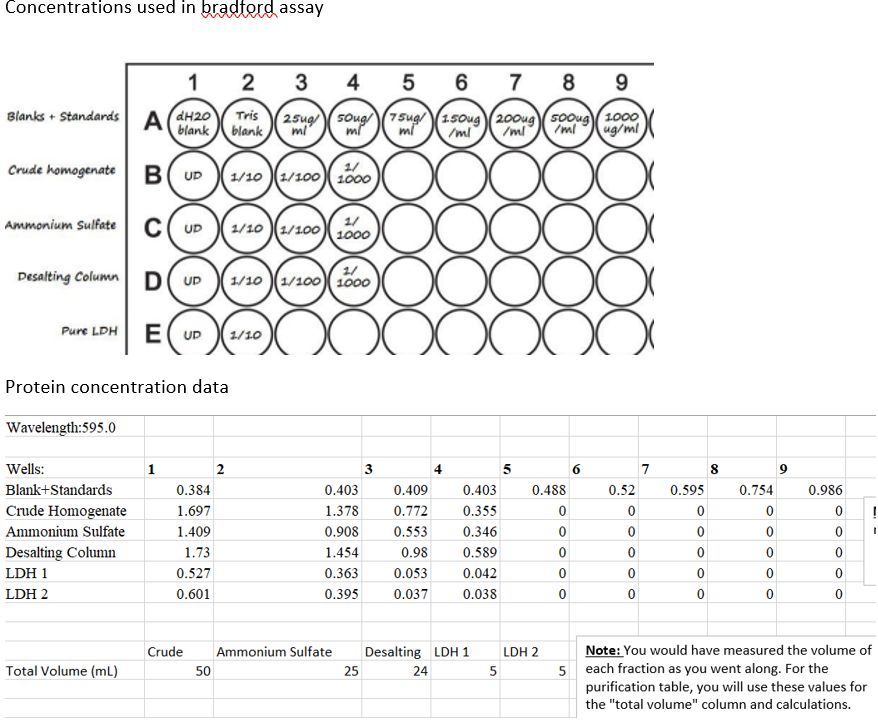 SAMPLE Activity [Protein) (umol/min/mL) (mg/mL) Total | Chegg.com