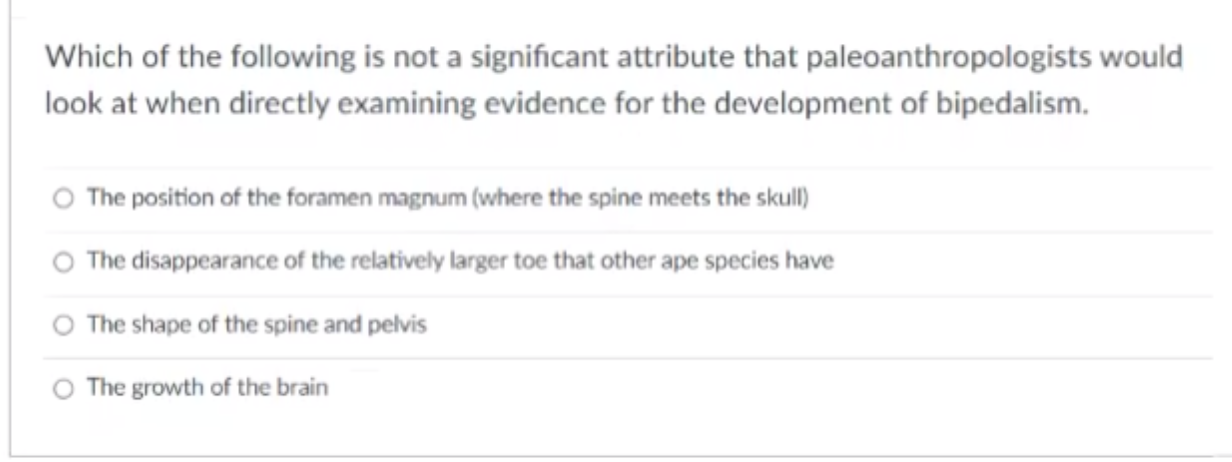 Solved Which Of The Following Is Not A Significant Attribute | Chegg.com