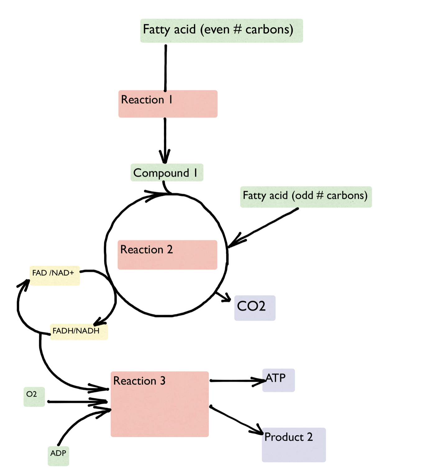 Solved what is compound 1? | Chegg.com