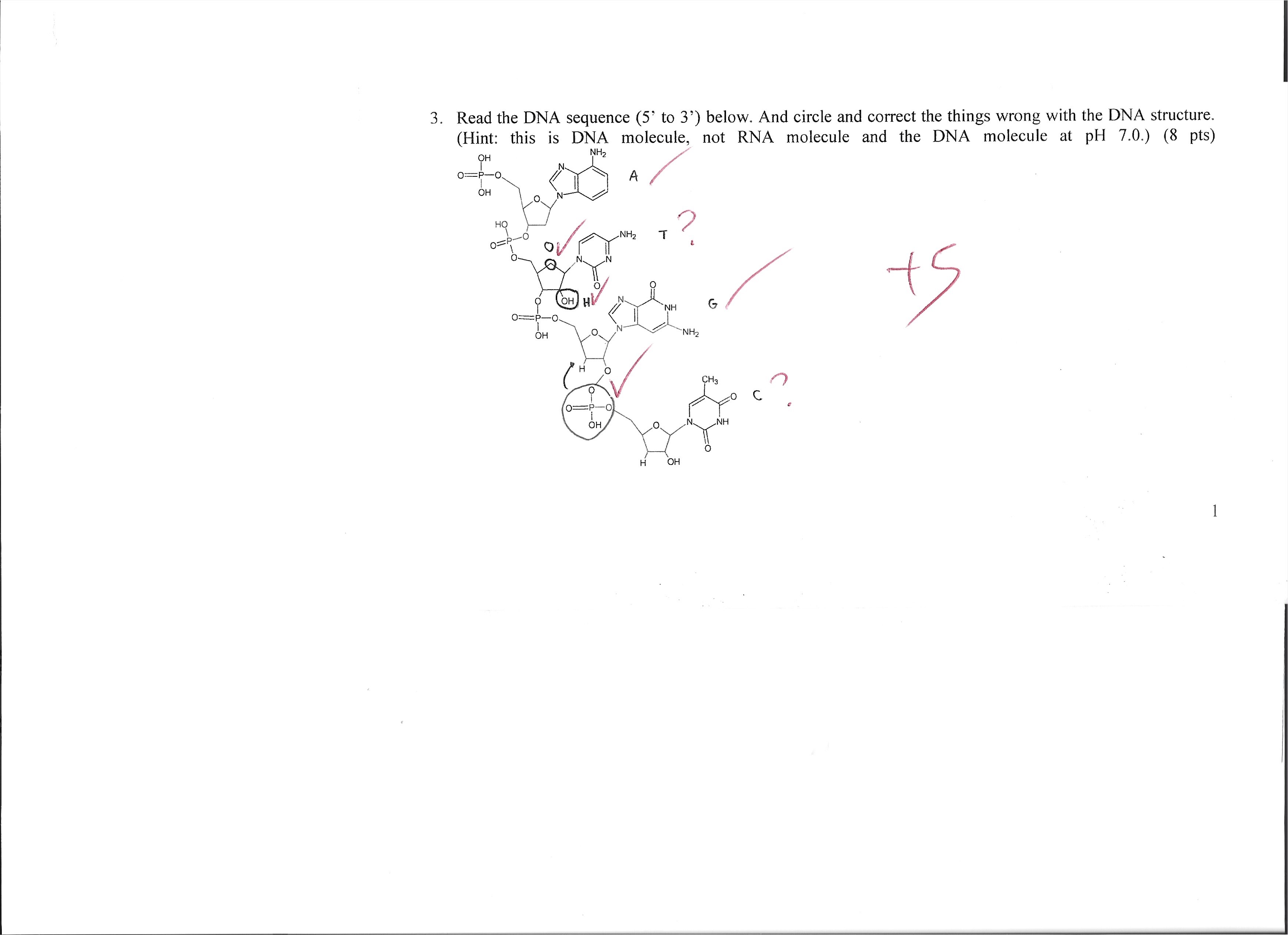 Solved 3. Read the DNA sequence ( 5′ to 3′ ) below. And | Chegg.com