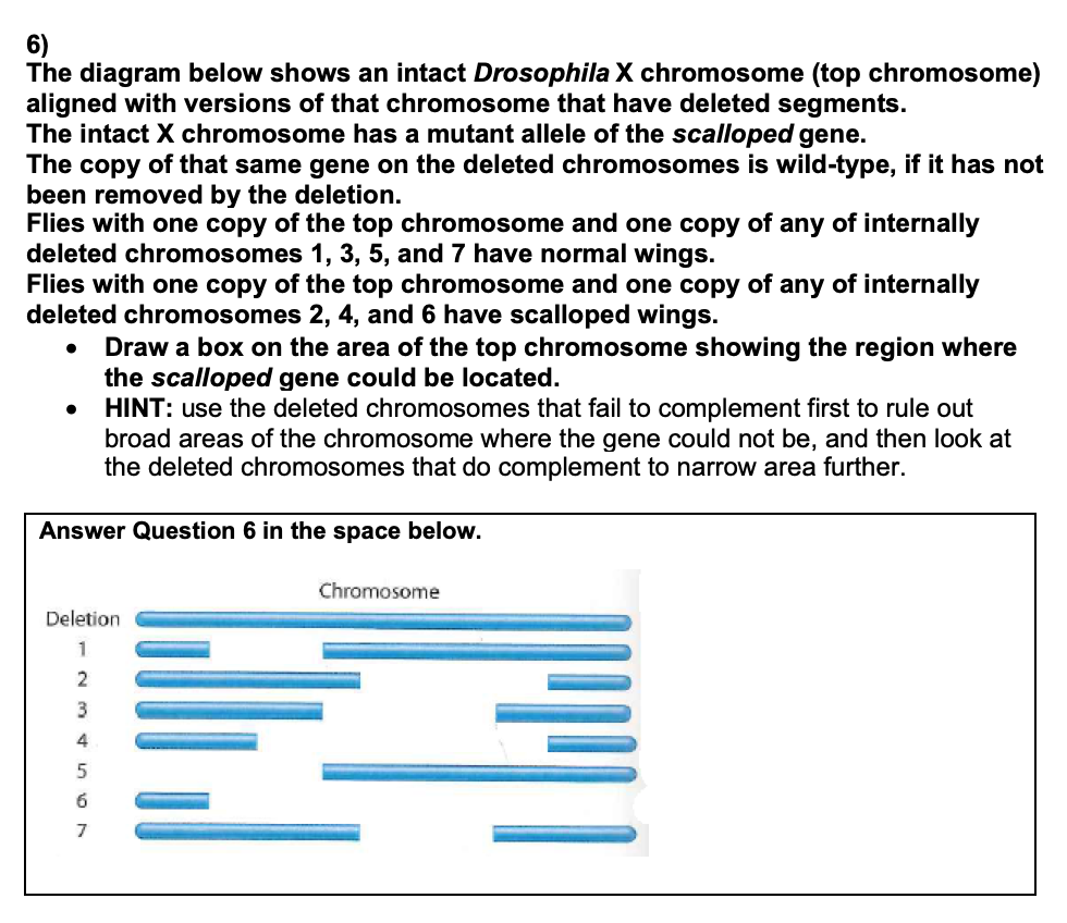 Solved The diagram below shows an intact Drosophila X