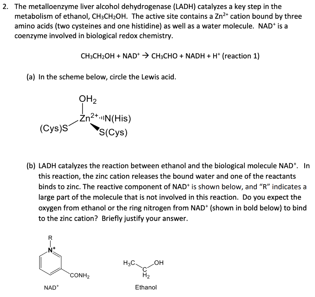 Solved 2. The metalloenzyme liver alcohol dehydrogenase